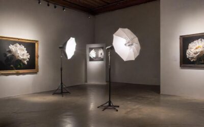 Como Fotografar em Museus sem Flash