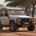 Safari Fotográfico: Guia Definitivo para Fotografar na África